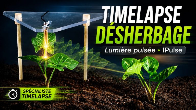 Timelapse Lumière Pulsée